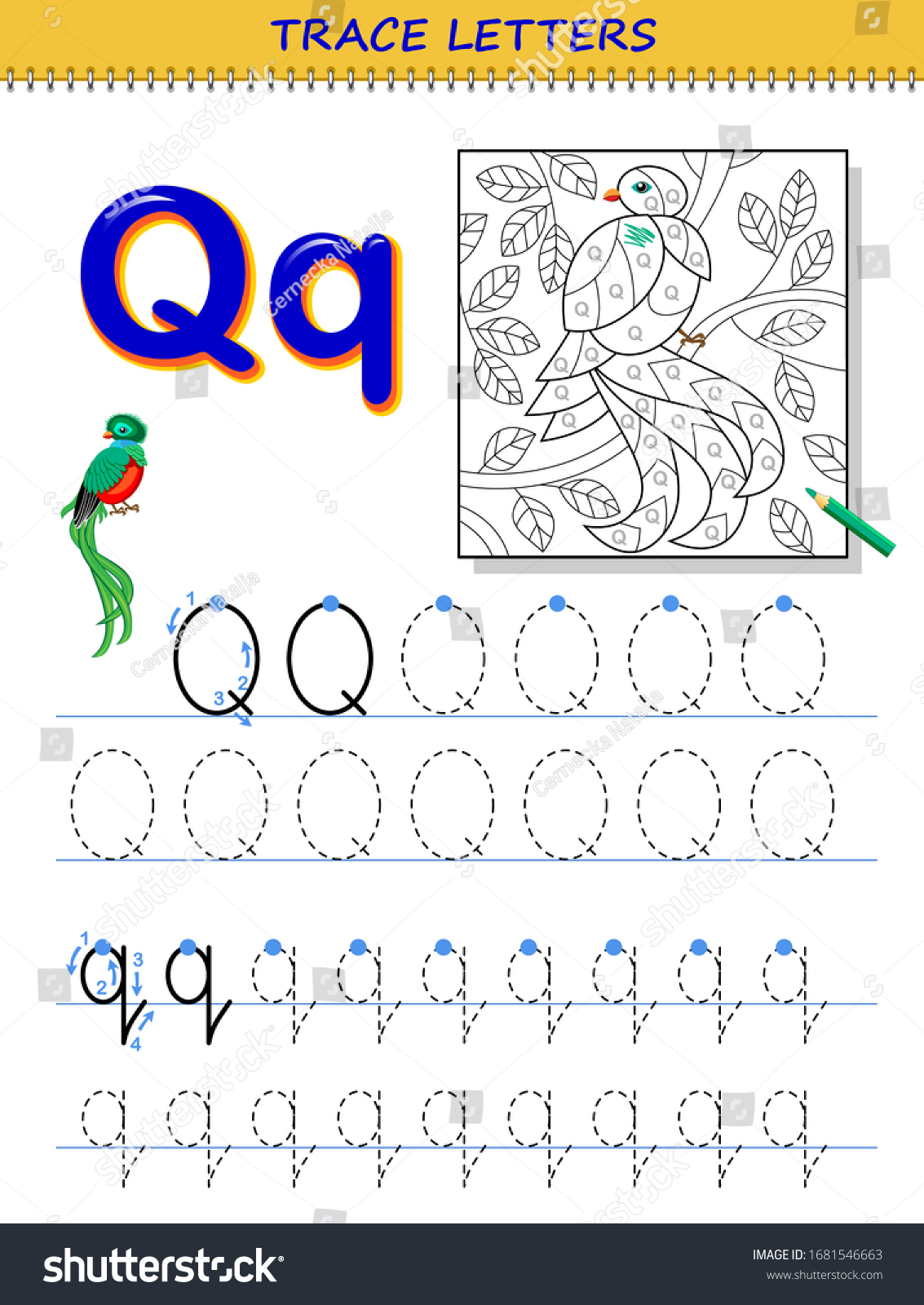 Tracing letter q study alphabet printable stock vector royalty free