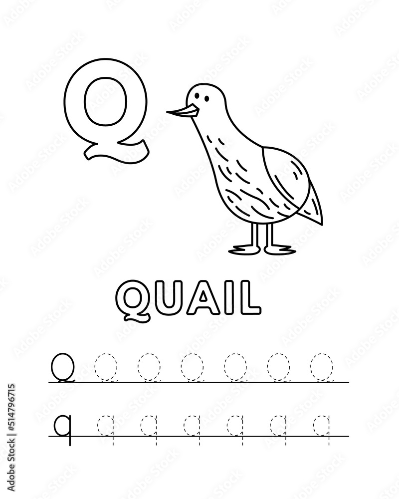 Alphabet with cute cartoon animals isolated on white background coloring pages for children education vector illustration of quail and tracing practice worksheet letter q vector