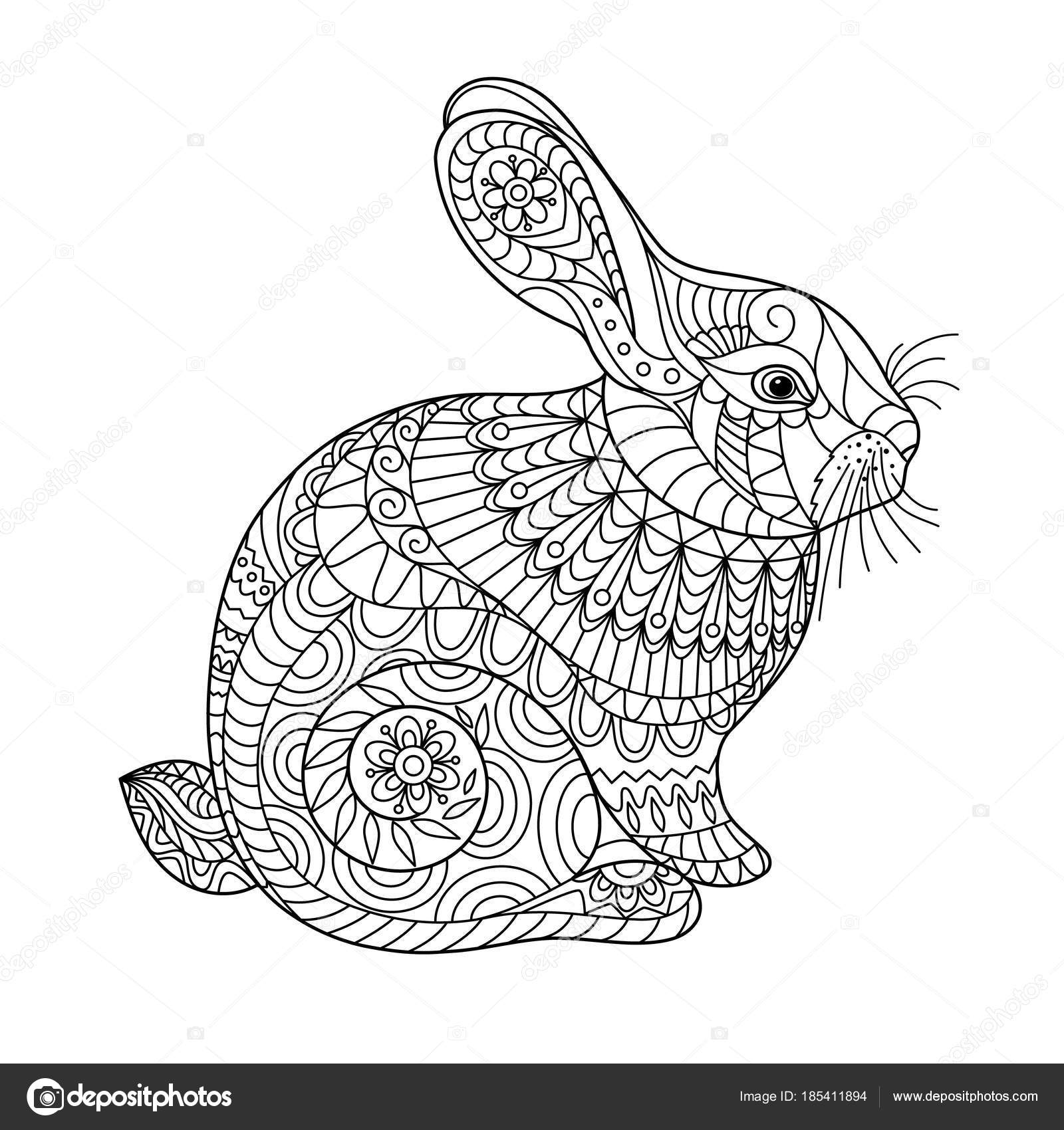 Rabbit coloring page adult children creative cute bunny black white stock vector by olgart