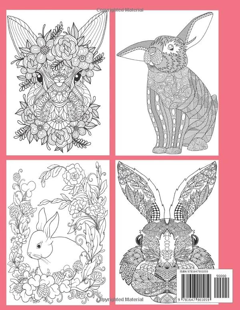 Rabbit coloring book for adults relaxing bunny designs dylanna press books