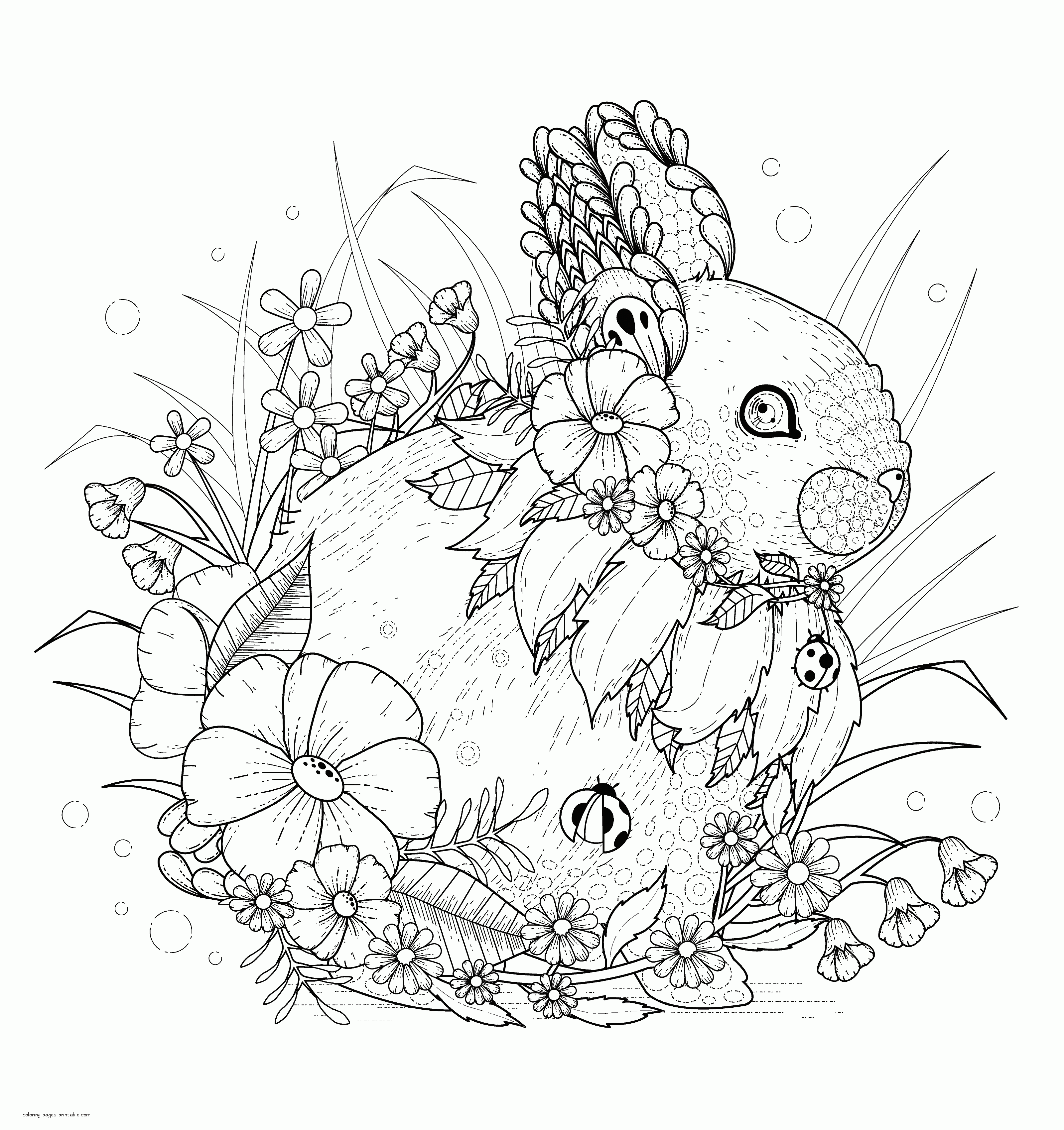 Rabbit coloring pages adult animal book coloring