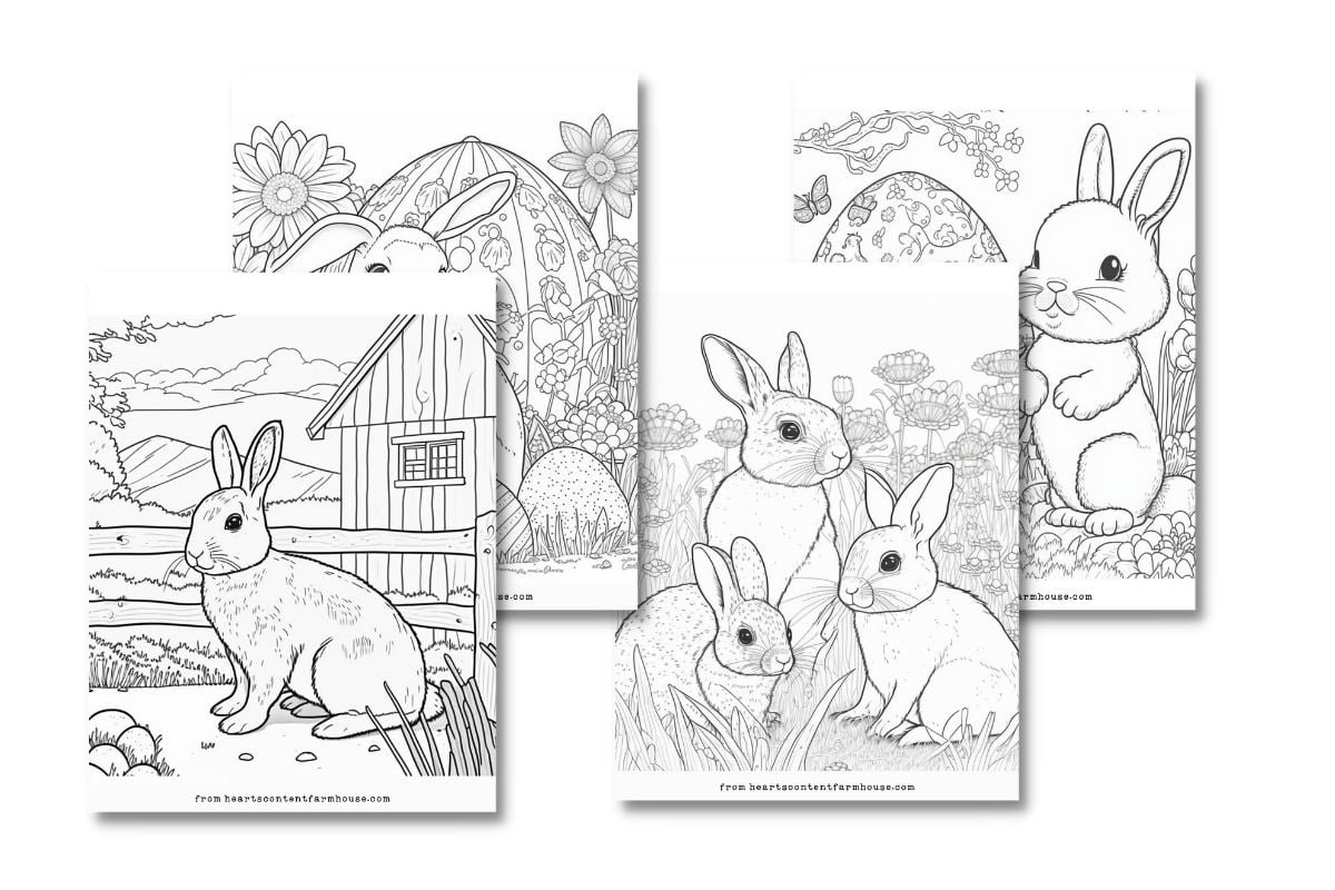 Free bunny coloring pages kids and adults hearts content farmhouse