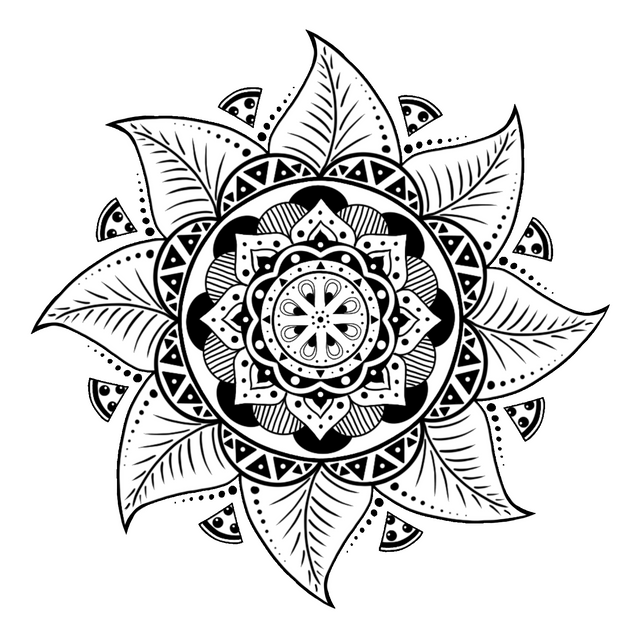 Radial symmetry coloring pages i made enjoy rprocreate