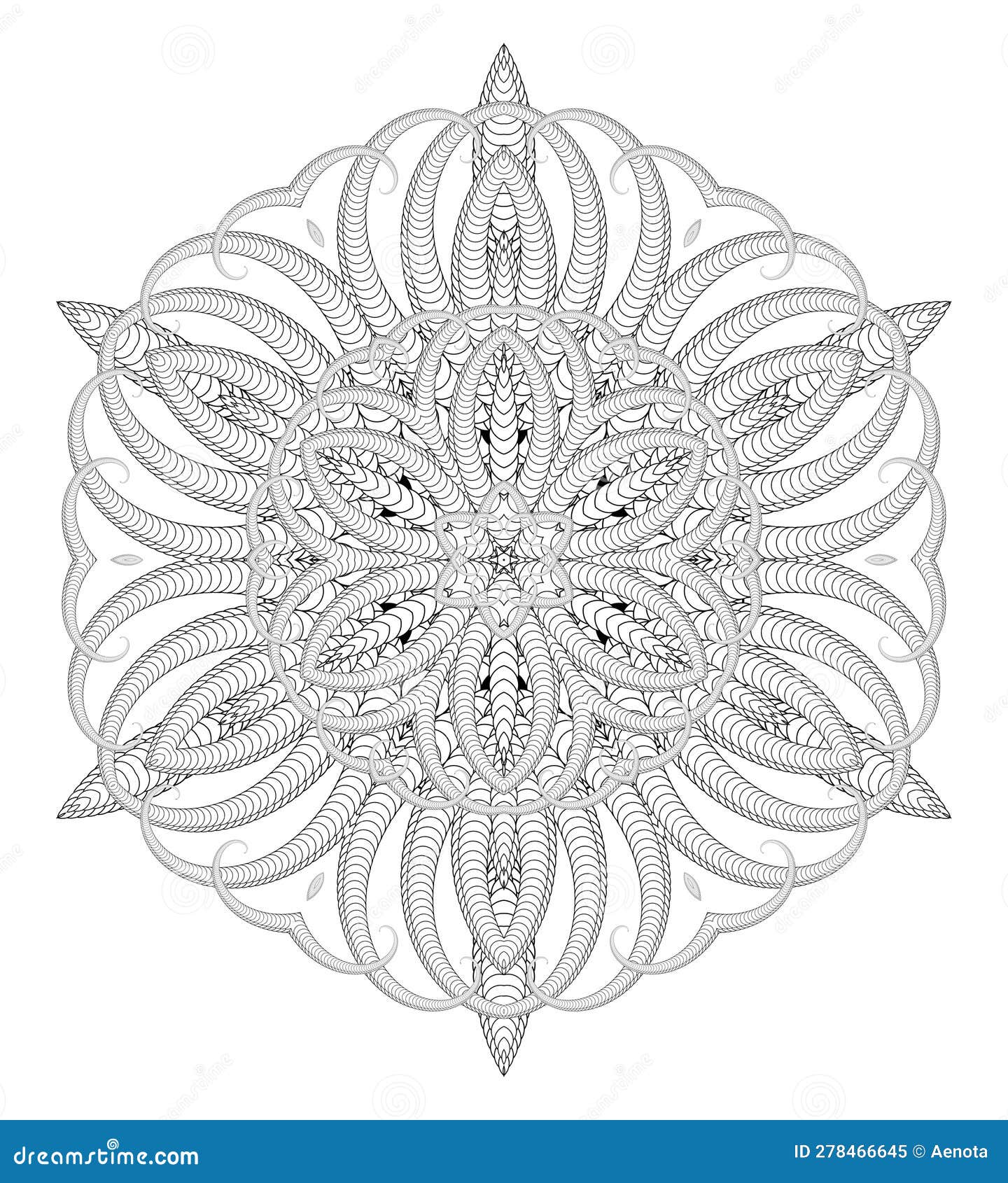 Vector delicate mandala art