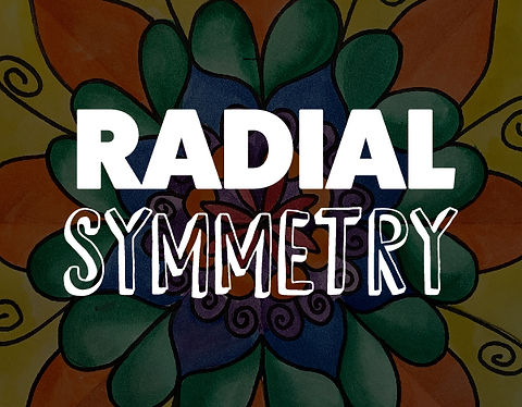 Radial symmetry mandalas color my monday