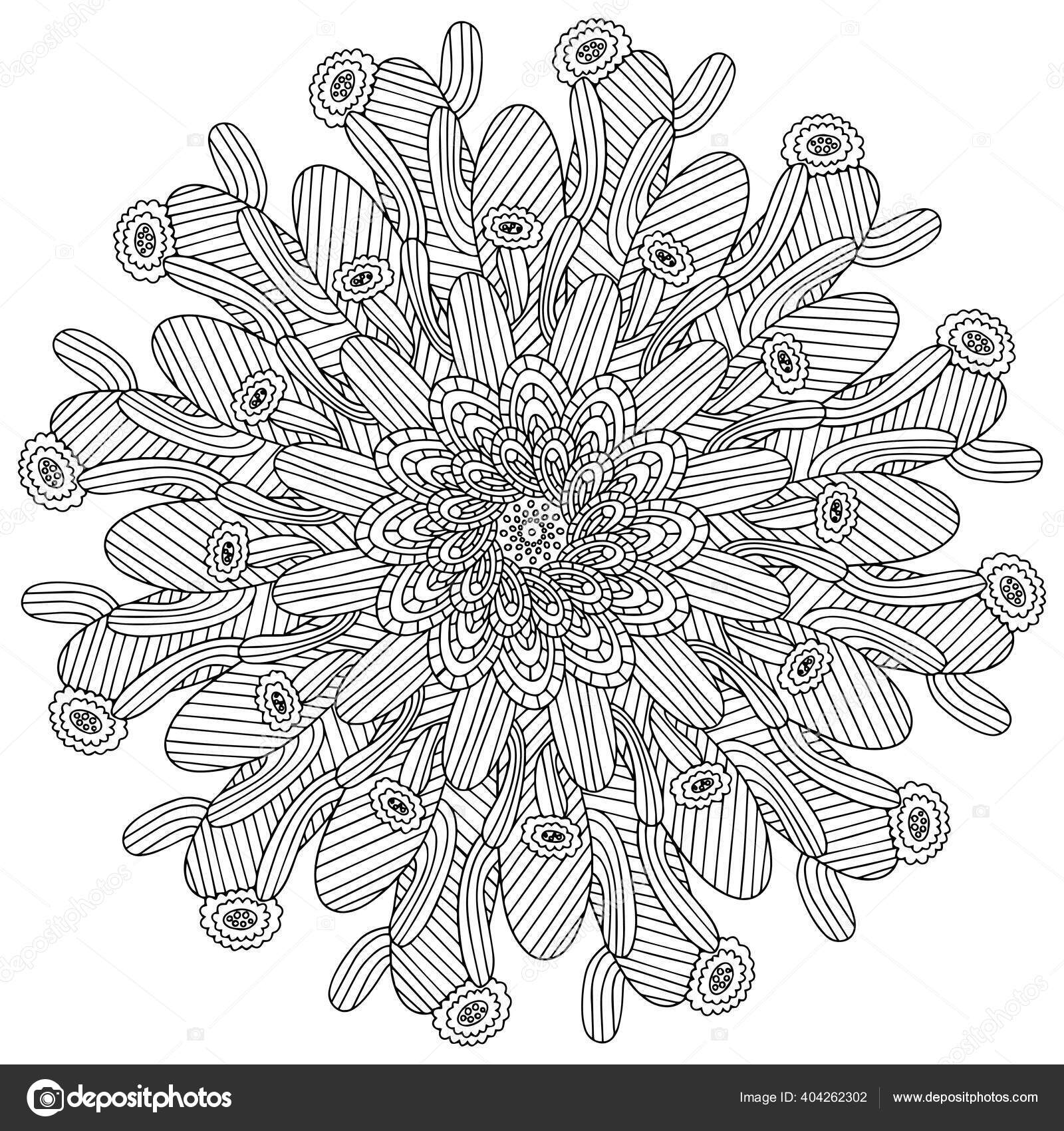 Blossom flower cactus coloring page symmetrical mandala black white cactus stock vector by funfishyandexru
