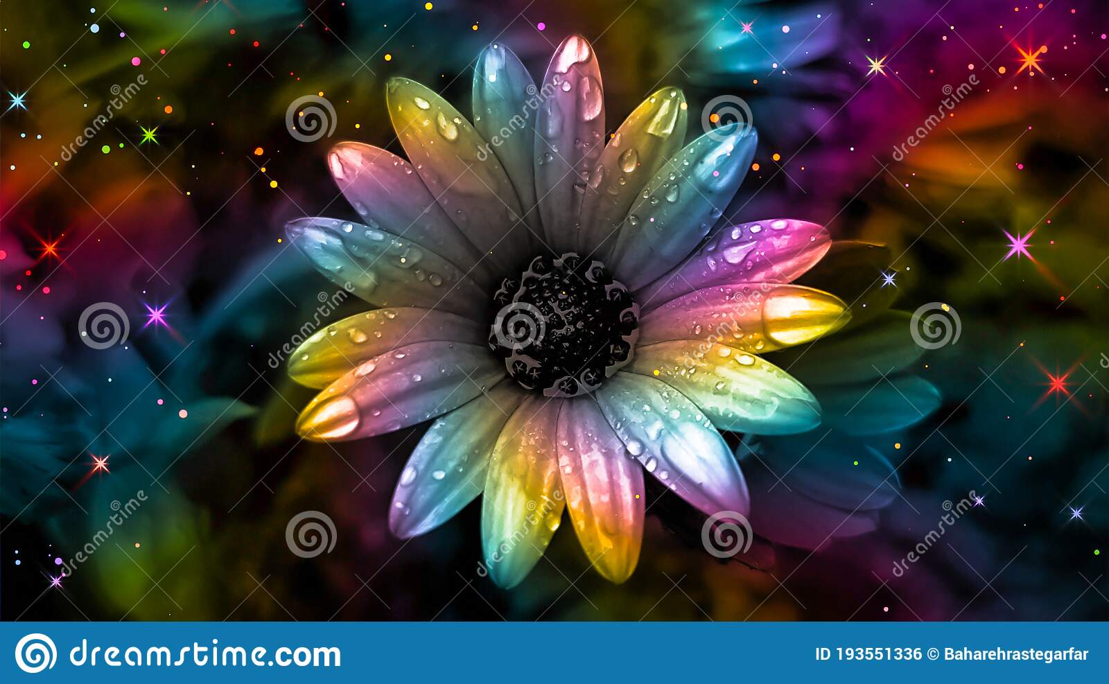 Rainbow flower background stock photo image of rainbow