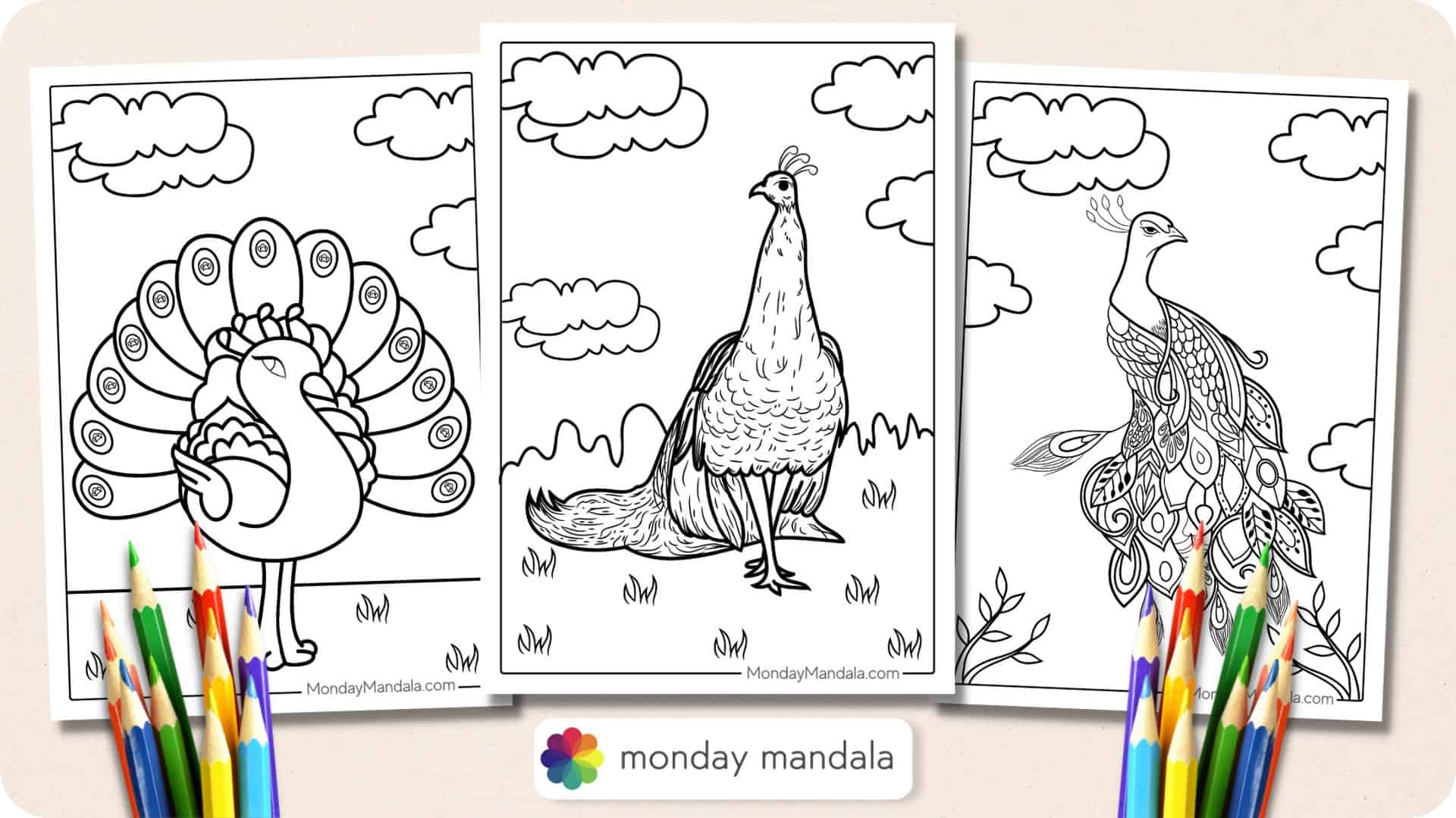 Peacock coloring pages free pdf printables