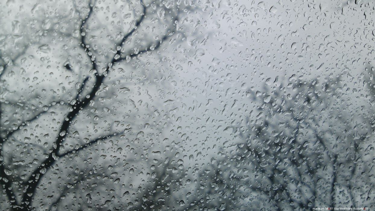 Trees rain window panes rain on glass wallpaper x