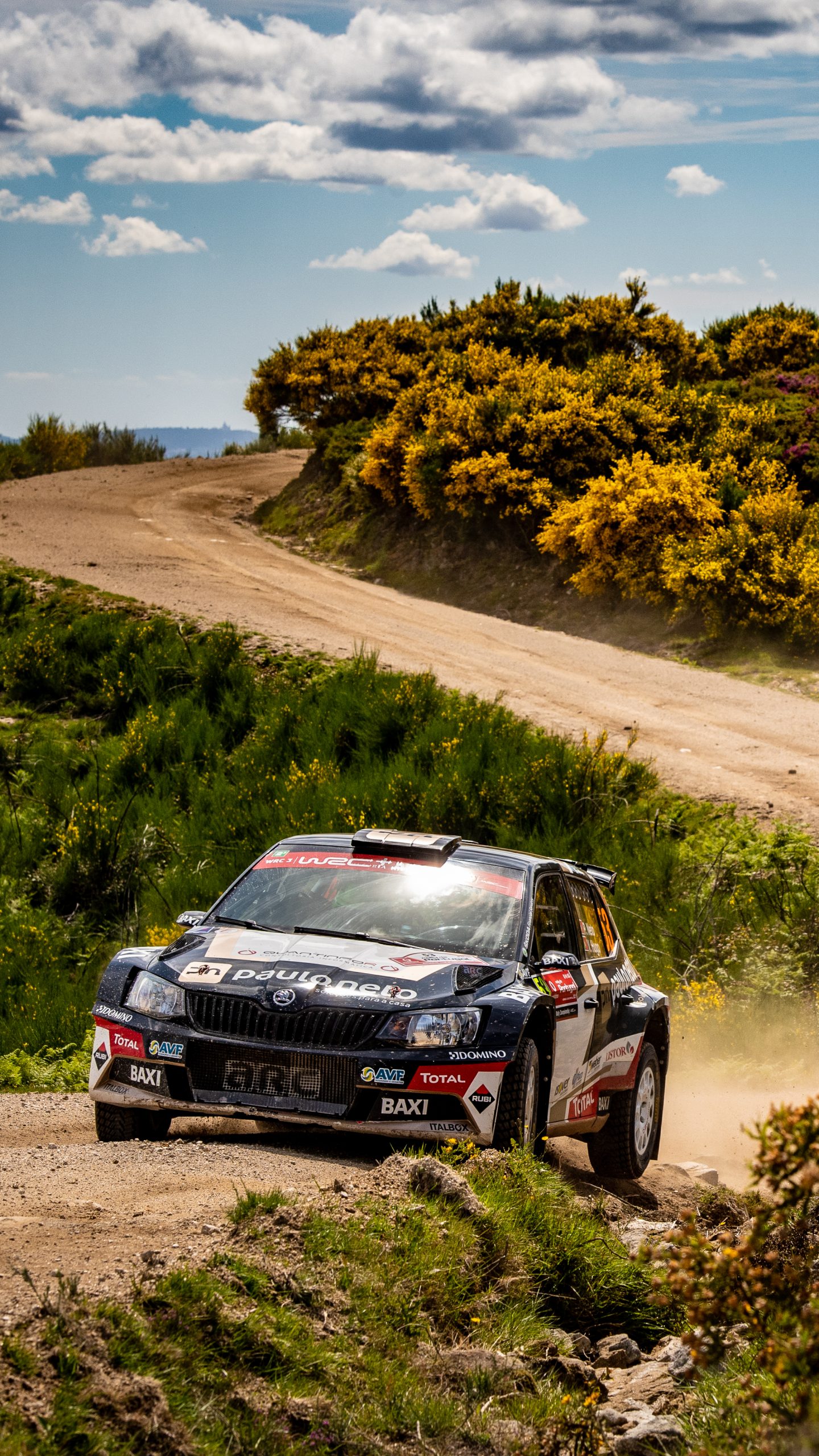 Download rally de portugal wallpapers for your phone