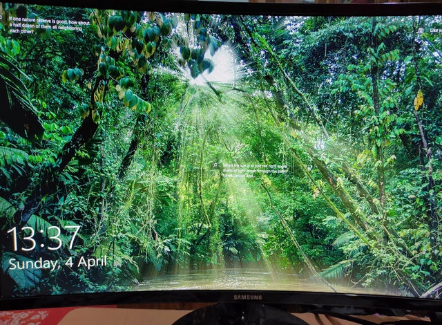 Opening your system with random wallpapers like this really makes the day rwindows