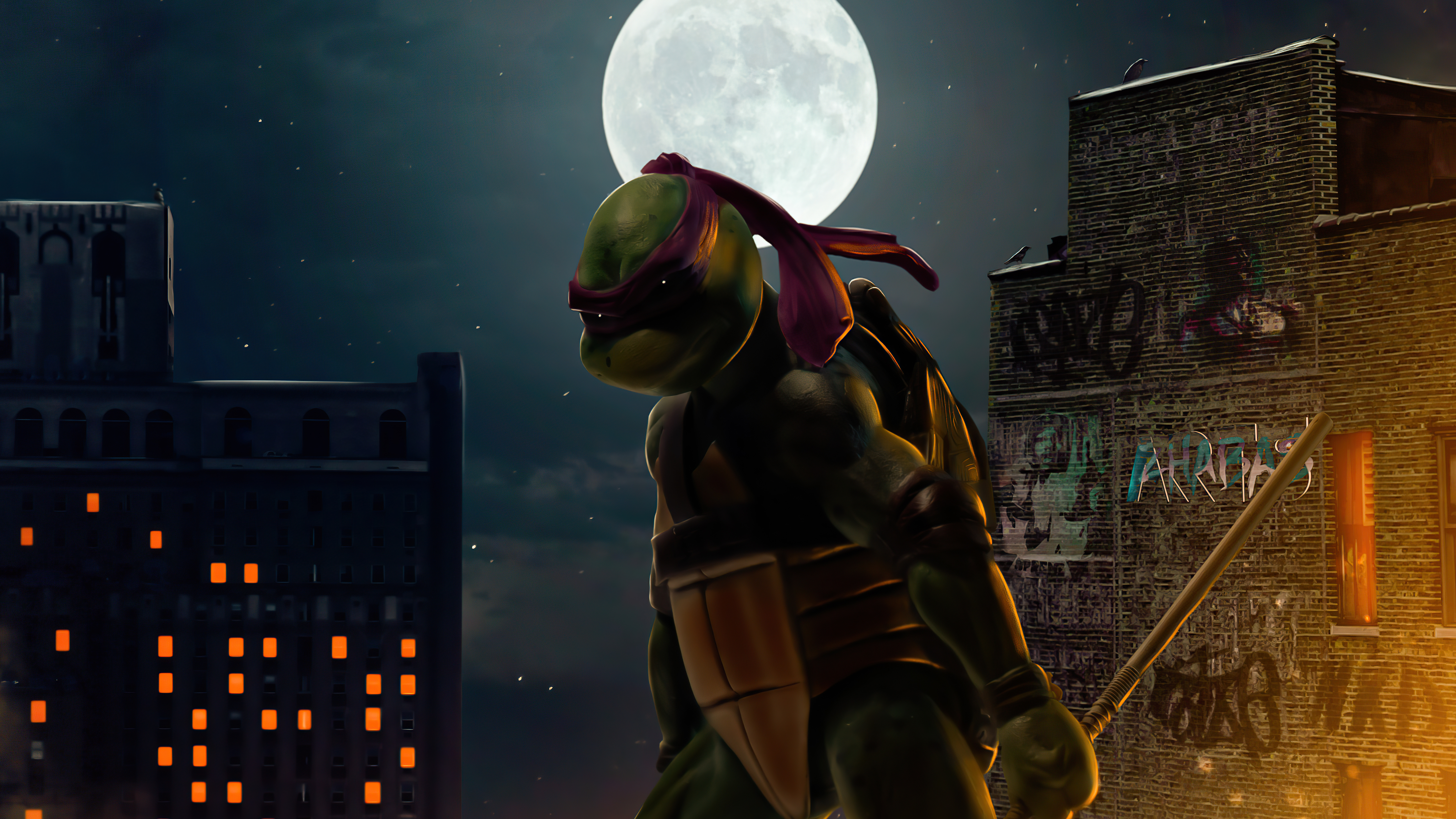 Teenage mutant ninja turtles k raphael tmnt
