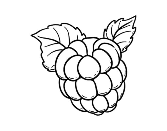 Simple raspberry coloring page