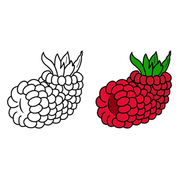 Premium vector ripe raspberry for coloring page