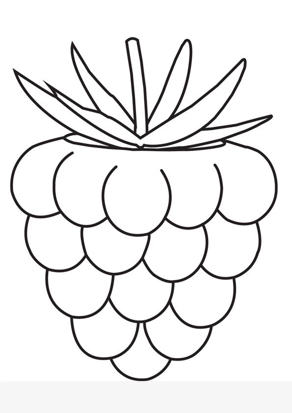 Free printable raspberry fruits coloring pages fruit coloring pages coloring pages templates printable free