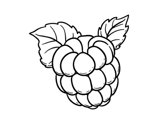 Raspberry coloring page