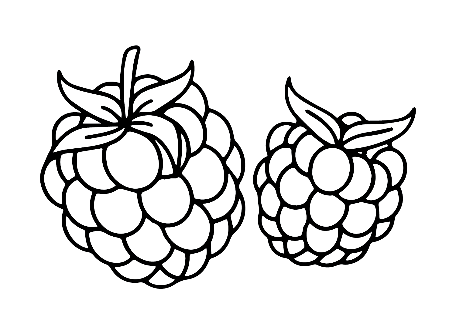 Raspberry coloring pages printable for free download