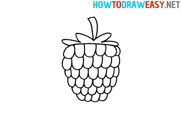 How to draw a raspberry easy drawing tutorials for beginners raspberry easy drawings