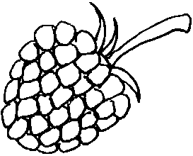 Free raspberry coloring pages pictures team colors