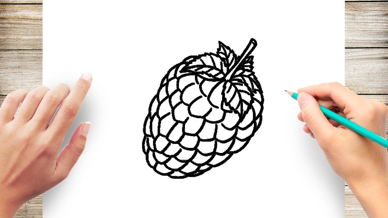 How to draw raspberry easy