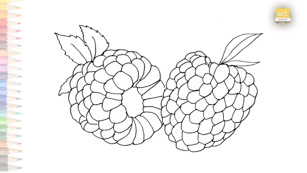 Raspberry drawing easy how to draw raspberry step by step fruits drawing videos tutorials
