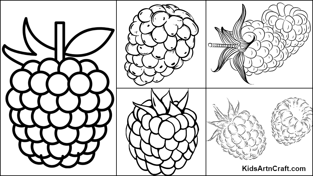 Raspberry coloring pages for kids â free printables