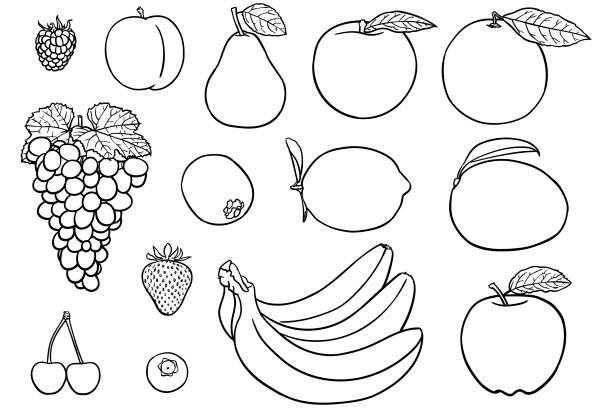 Simple drawings of fruit for coloring books stock illustration