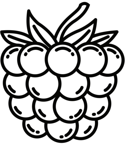 Raspberry coloring page free printable coloring pages