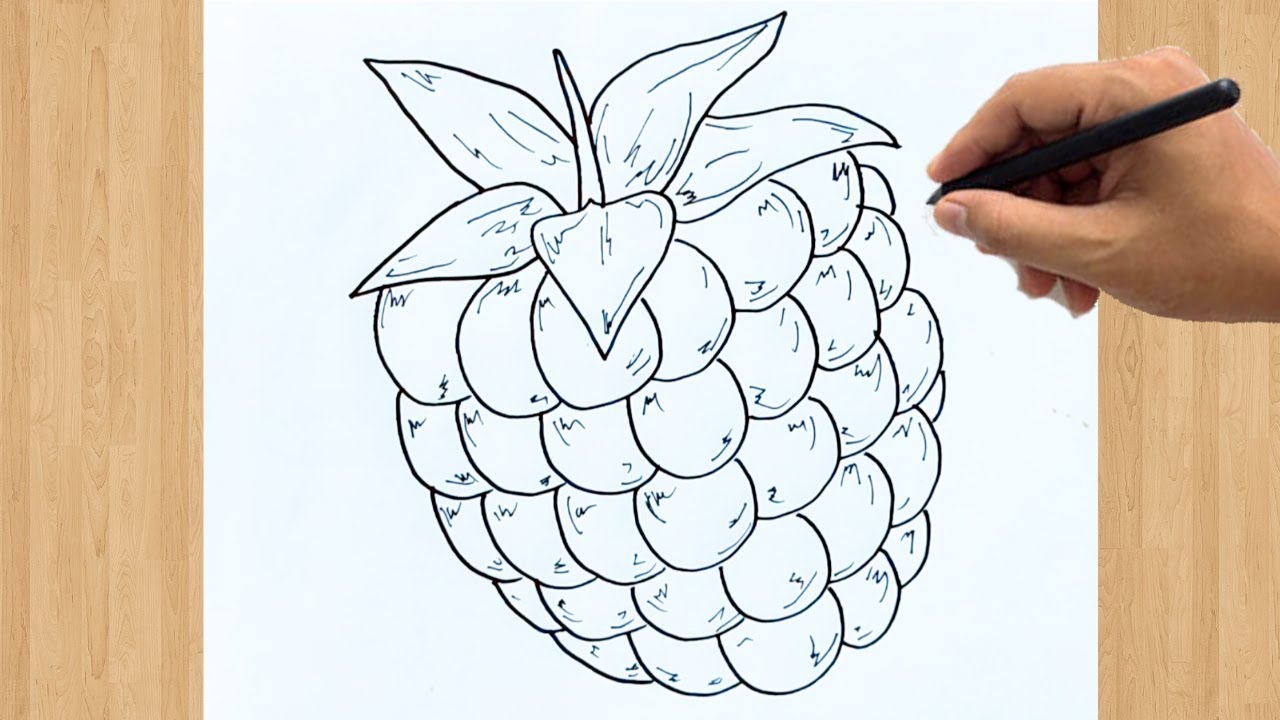 Raspberry drawing for beginners learn to draw a raspberry easy step by step guide