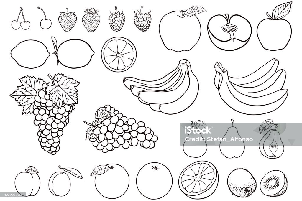 Simple drawings of fruit for coloring books stock illustration