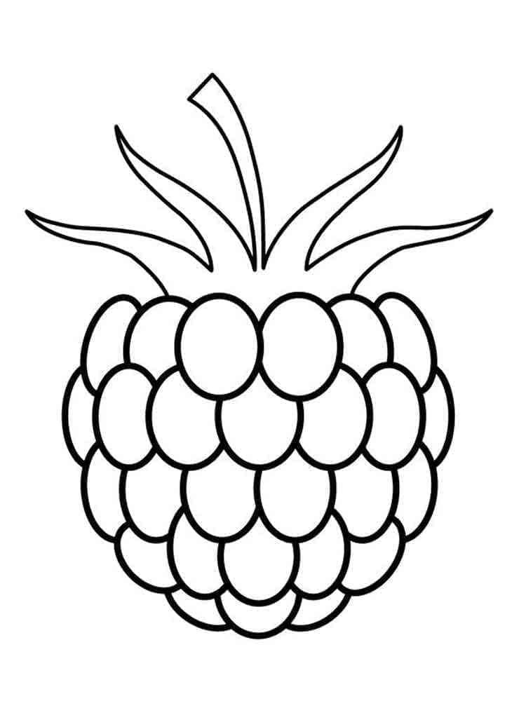 Simple raspberry coloring page