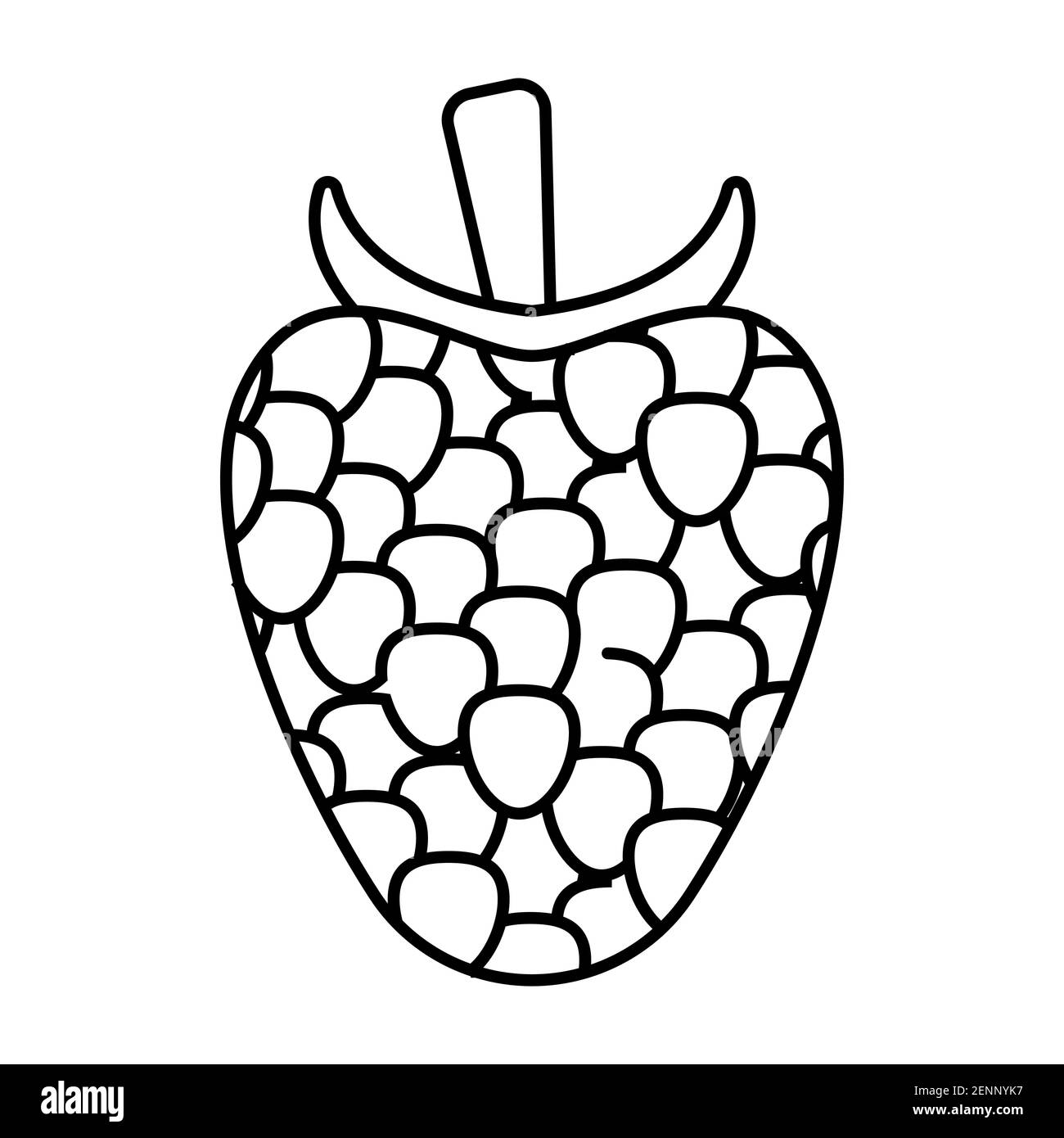 Line art vector icon raspberry fruit for apps and websites stock vector image art