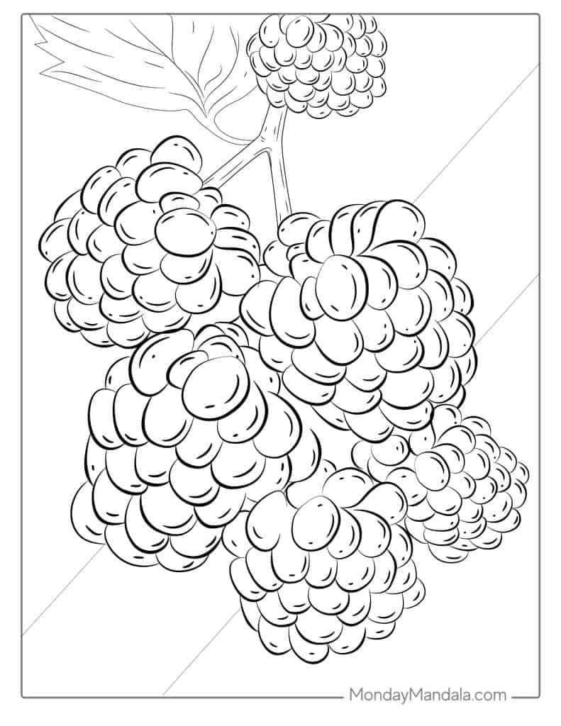 Fruit coloring pages free pdf printables