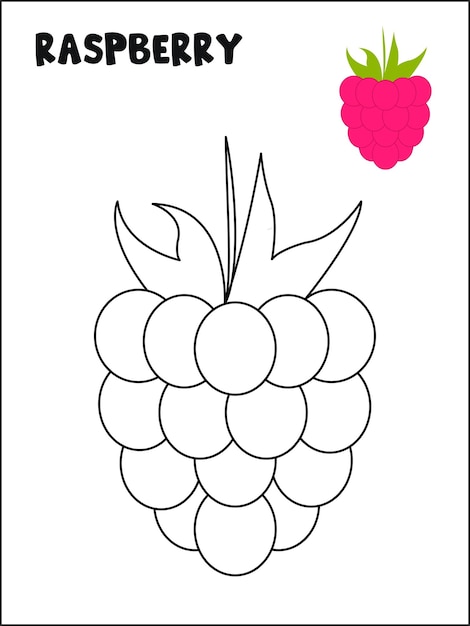 Premium vector raspberry coloring page