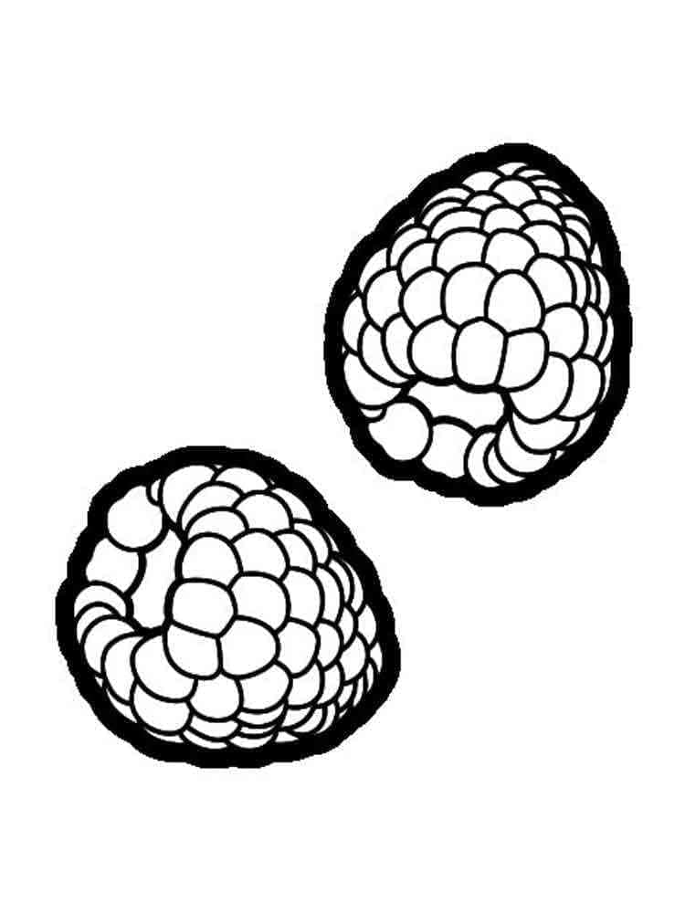 Small raspberries coloring page