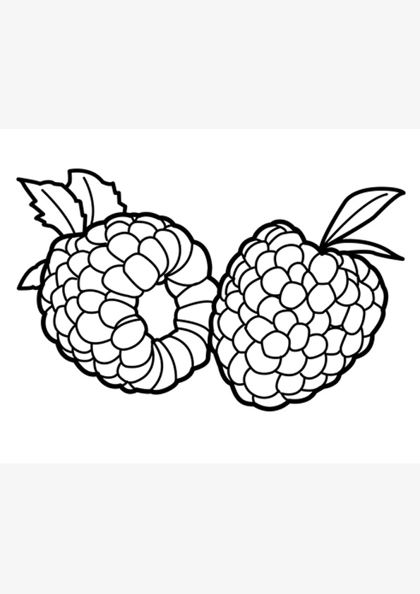 Coloring pages raspberry coloring pages for kids