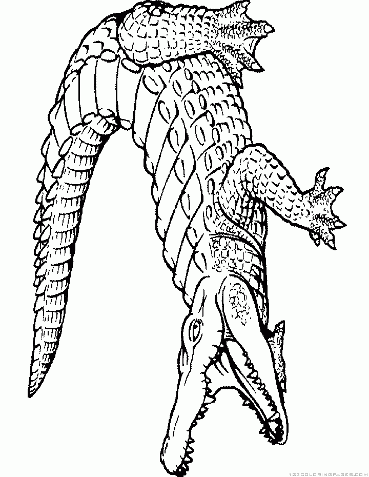 Alligator coloring pages