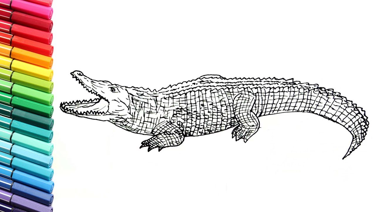 Top free printable crocodile coloring pages online