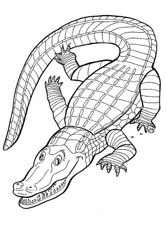 Free printable alligator coloring pages