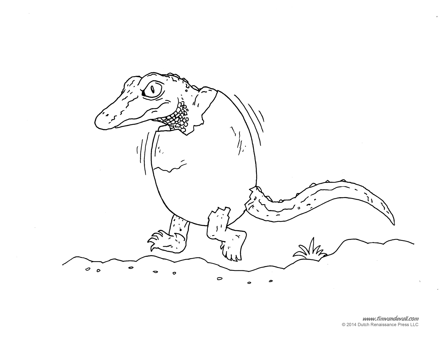 Alligator coloring pages â tims printables