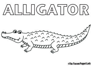 Free alligator coloring page â the tucson puppet lady