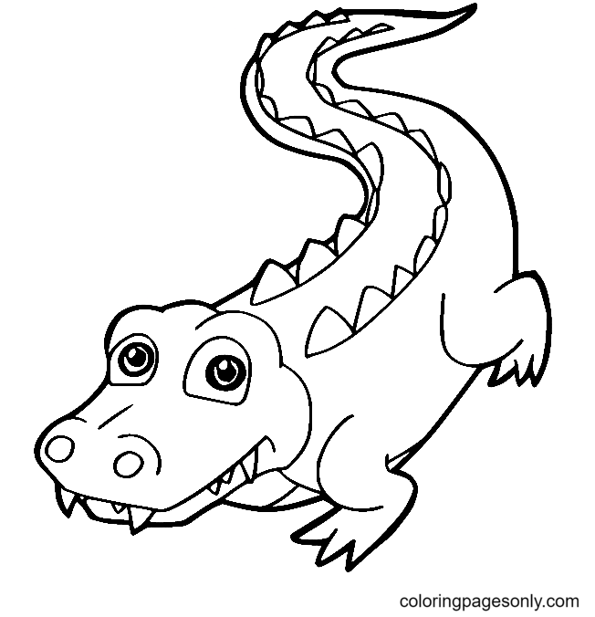 Alligator coloring pages printable for free download