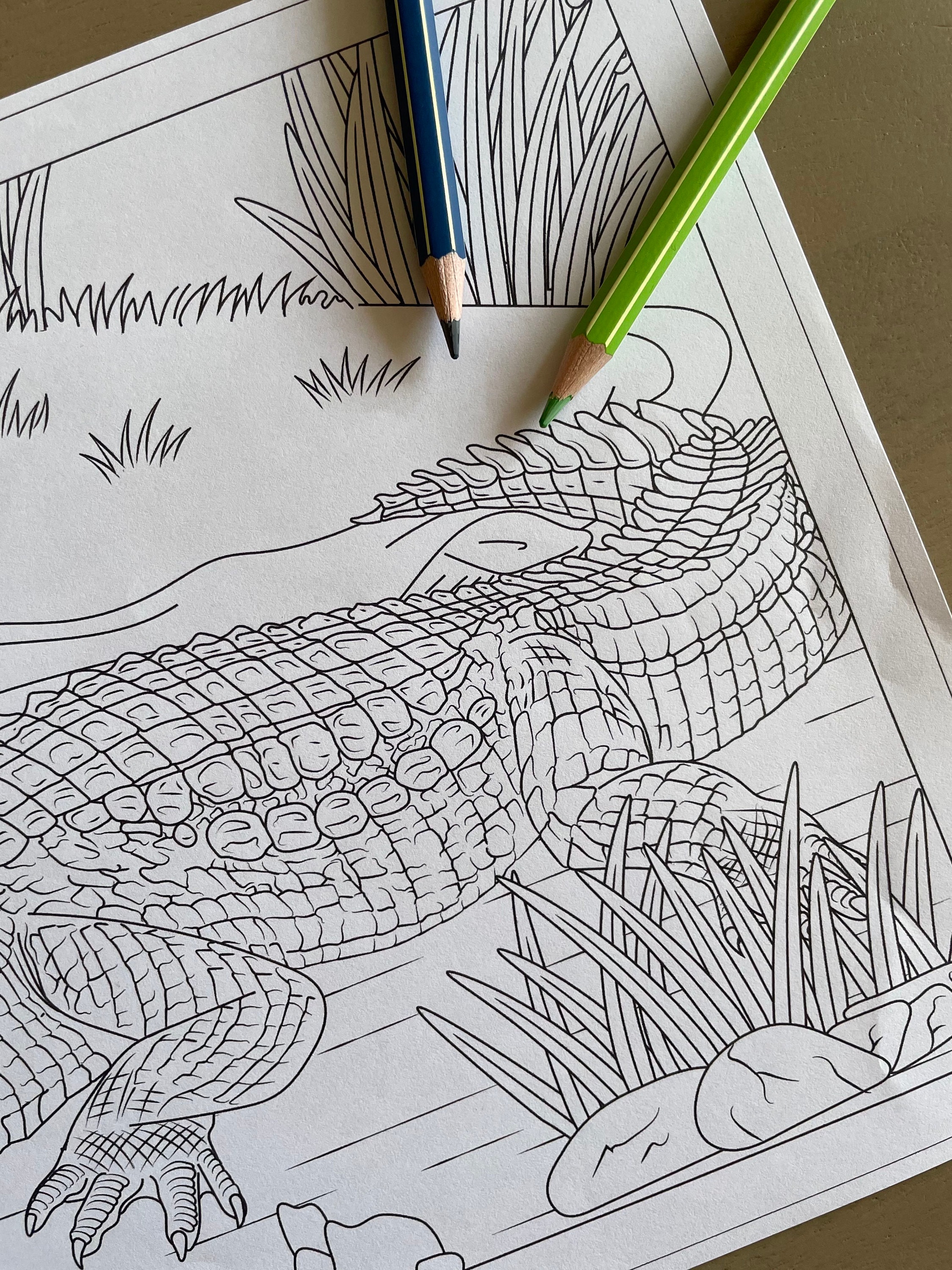 Coloring page crocodile instant download unlimited prints
