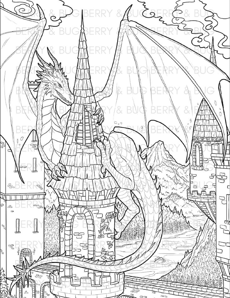 Dragon adult coloring page fantasy illustration coloring for adults printable art instant download realistic dragon