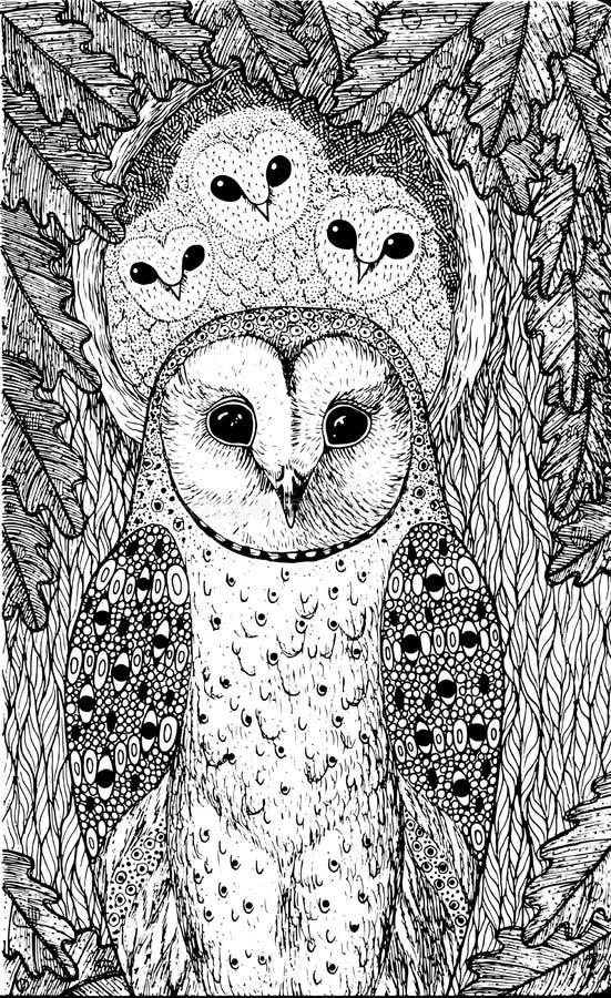 Coloring page for adults with owls on the oak tree realistic in stock vector
