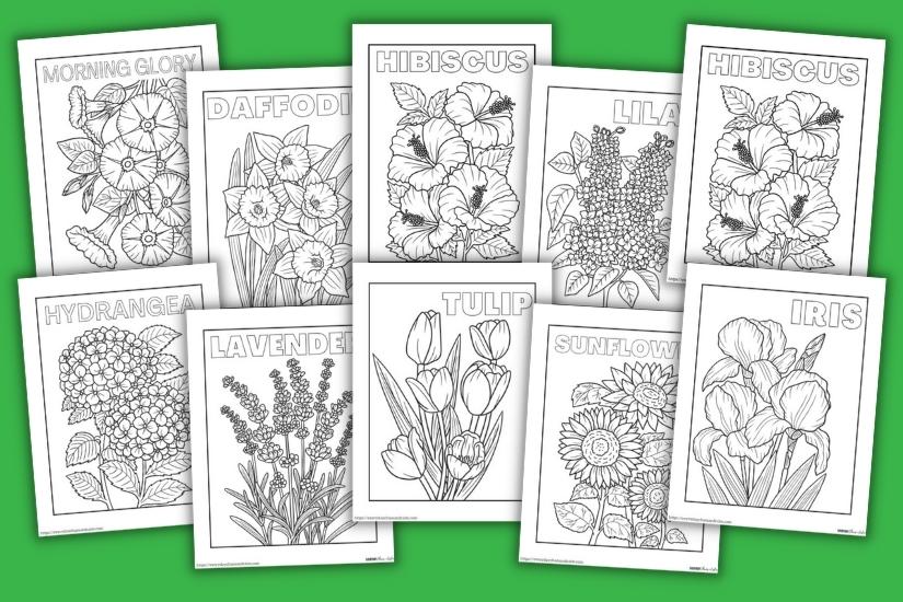 Free realistic flower coloring pages for all ages