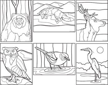 Animal habitat coloring pages realistic animal coloring pages tpt