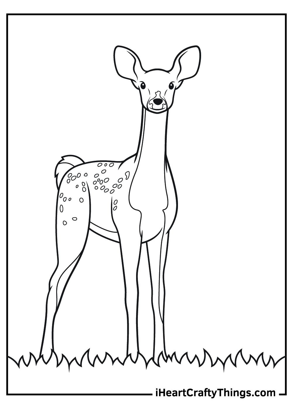 Realistic animals coloring pages free printables