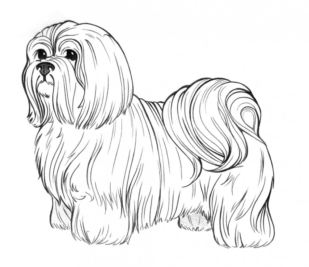 Dog coloring pages for adults