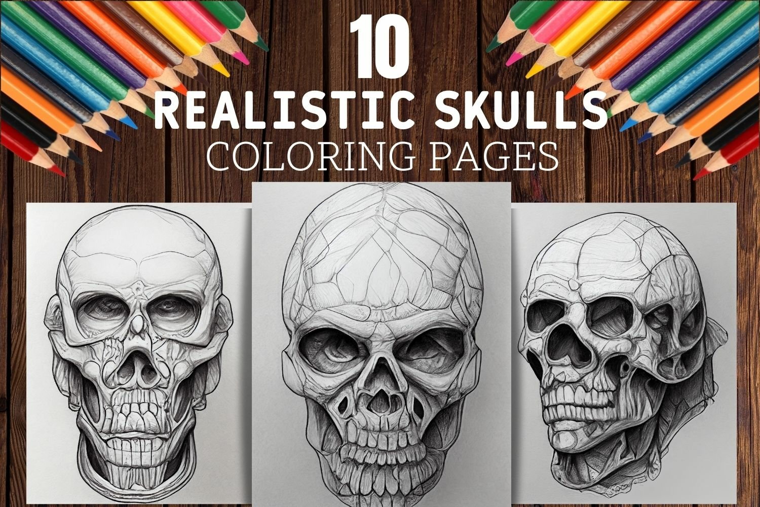 Realistic skulls coloring pages